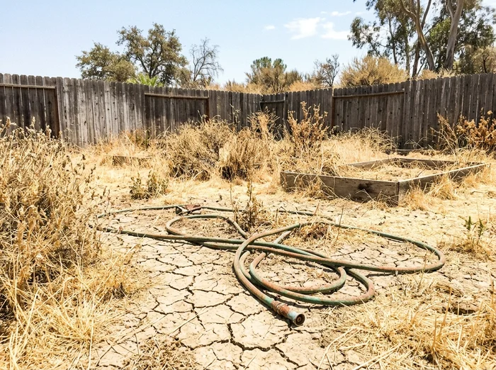 Severe drought landscape